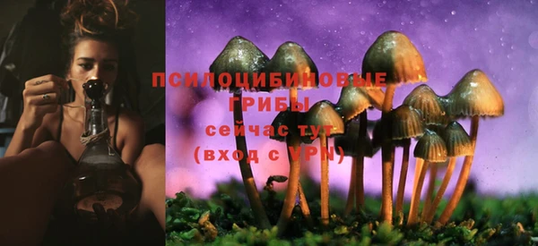 дурь Бугульма