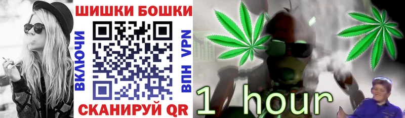 Каннабис SATIVA & INDICA  omg tor  Тосно 